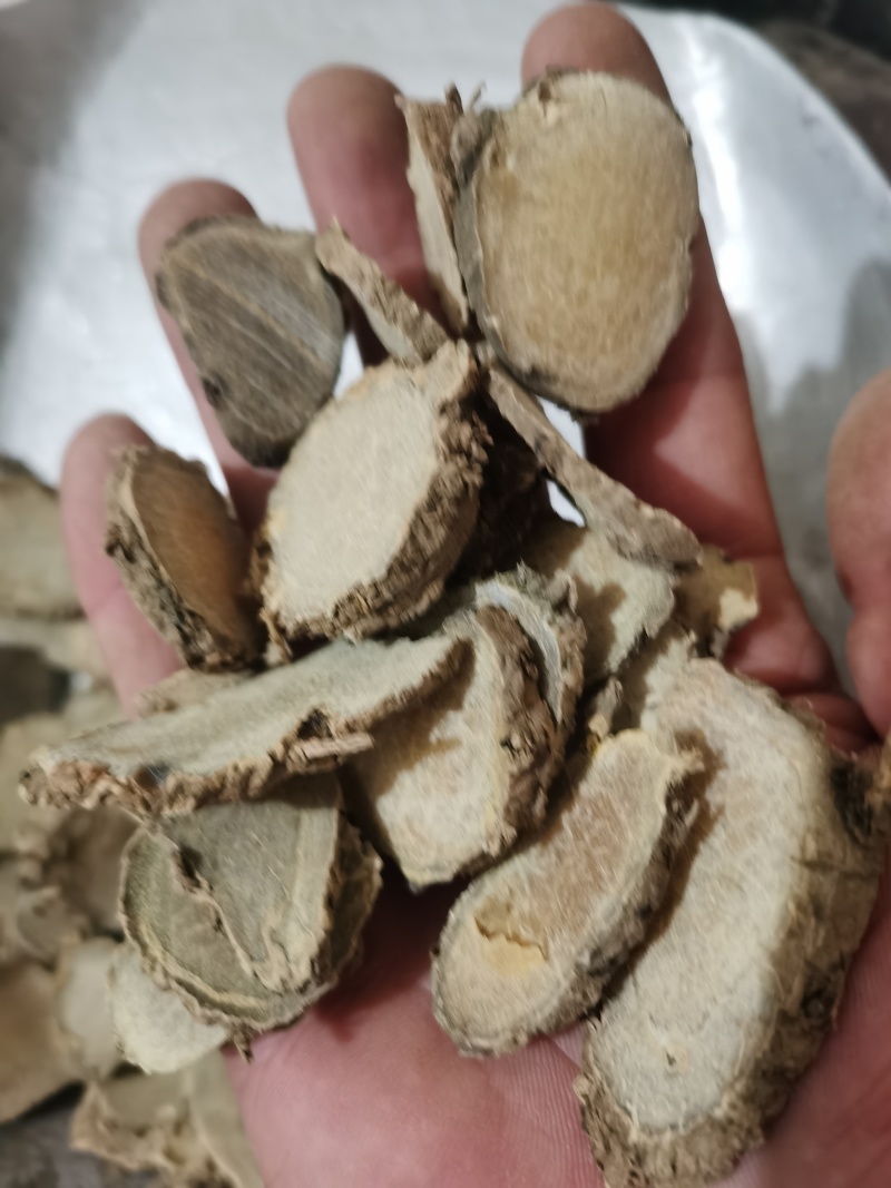 莪术中片莪术泽润中药规格齐全批发零售各种中