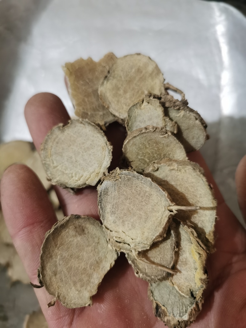 莪术中片莪术泽润中药规格齐全批发零售各种中