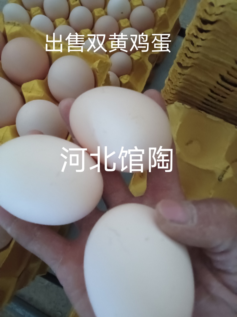推荐鲜鸡蛋双黄鸡蛋货源充足价格实惠欢迎联系品质