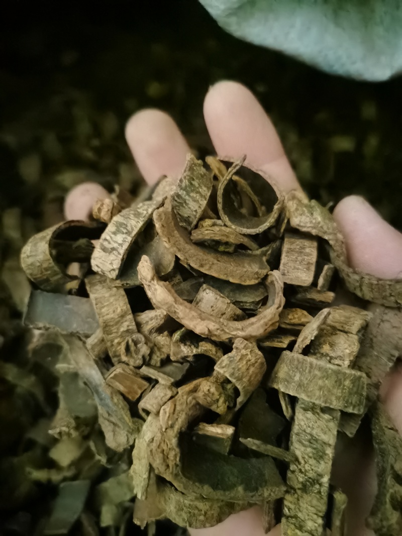 杜仲皮炒杜仲丝泽润中药批发零售各种中药材