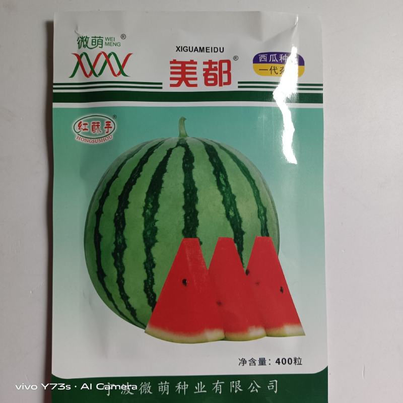 新疆昌蜜美都无籽西瓜种子中熟抗病三倍体西瓜种子高糖薄皮口