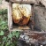 四川农家老桶土蜂蜜蜂蜜品种纯正假一赔十欢迎咨询