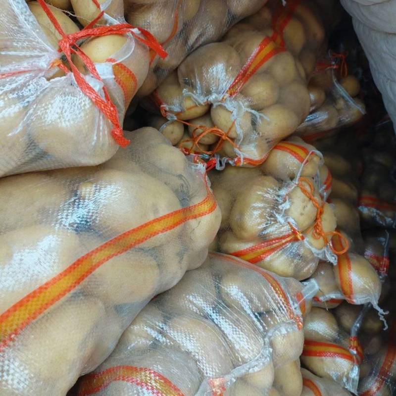 开封通许沃土土豆【沃土5号】规格齐全品质保障欢迎咨询