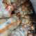 开封通许沃土土豆【沃土5号】规格齐全品质保障欢迎咨询