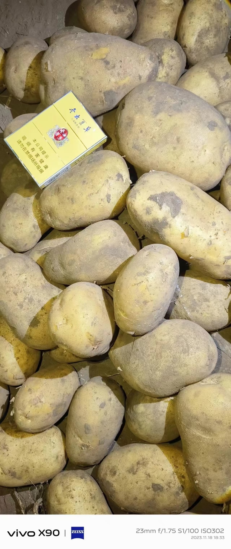 开封通许沃土土豆【沃土5号】规格齐全品质保障欢迎咨询