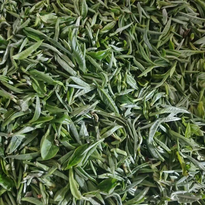 【包邮】毛尖茶凌云茶叶春茶大量上市