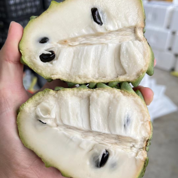 释迦果