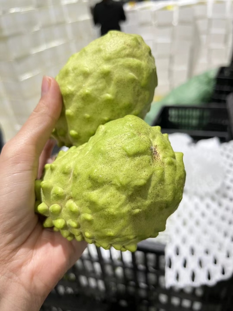 释迦果