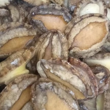 一级单冻鲍鱼肉大量供货规格齐全量大从优