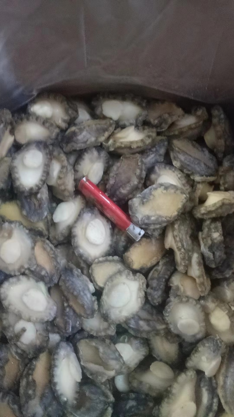 一级单冻鲍鱼肉大量供货规格齐全量大从优