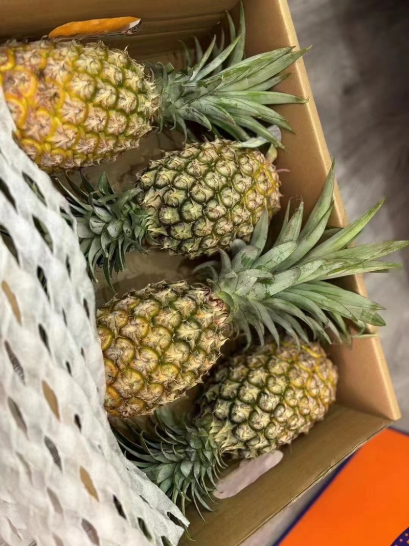 海南精品凤梨，甜度高，品质好，产地直发，全国可发