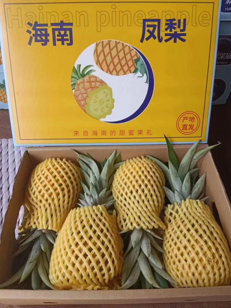 海南精品凤梨，甜度高，品质好，产地直发，全国可发