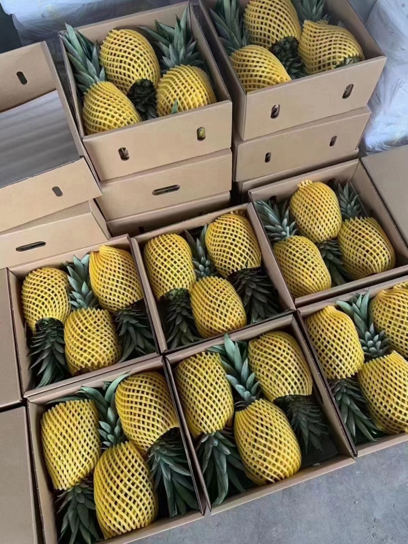海南精品凤梨，甜度高，品质好，产地直发，全国可发