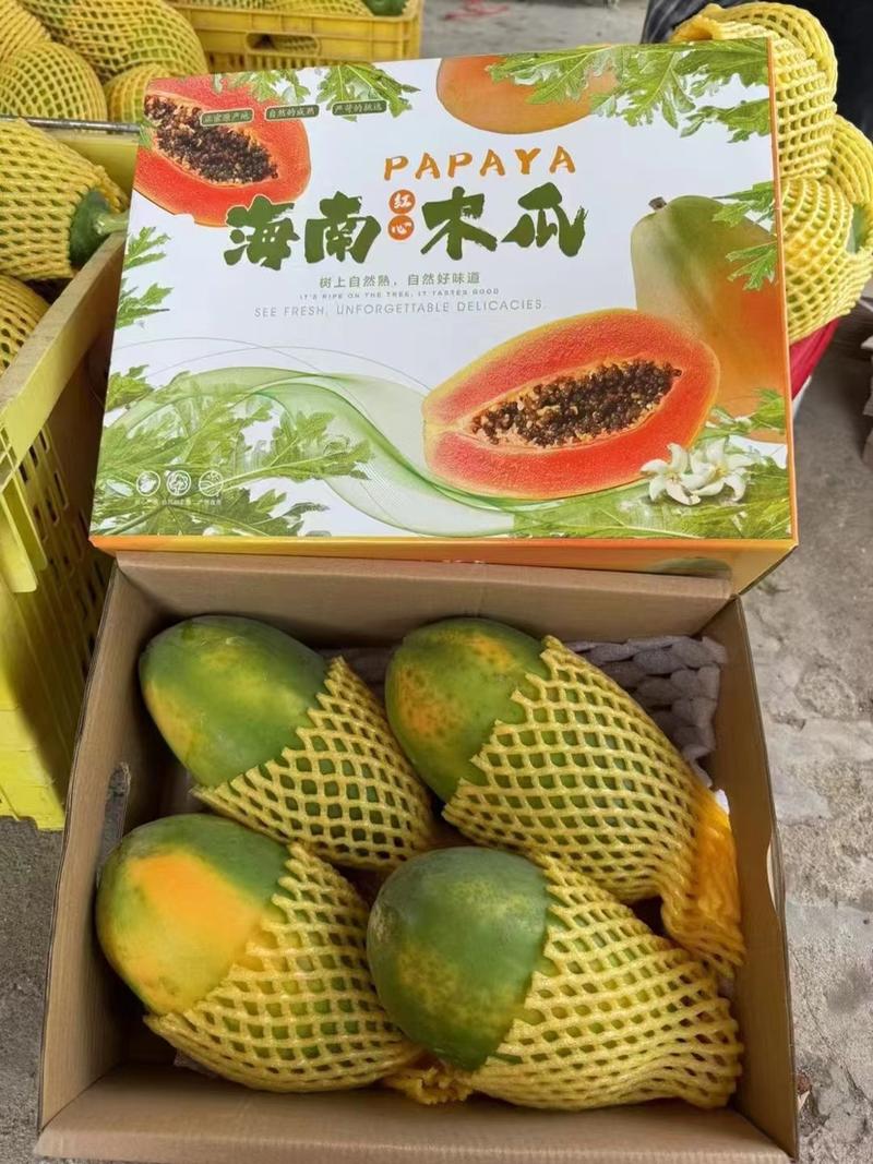 海南红心木瓜，产地直供，品质保证，支持全国发货