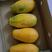 海南红心木瓜，产地直供，品质保证，支持全国发货