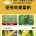 金大棒氨基酸水溶肥