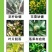 颗粒硼微量元素水溶肥