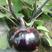 鸿运来紫红圆茄种子适合春秋栽培单果重约850克左右