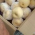 陕西酥梨现货供应，可全国发货，量大从优，欢迎采购