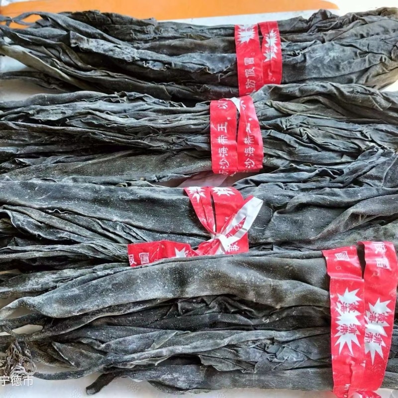 海带海带头无沙海带纯干海带头福建海带霞浦海带