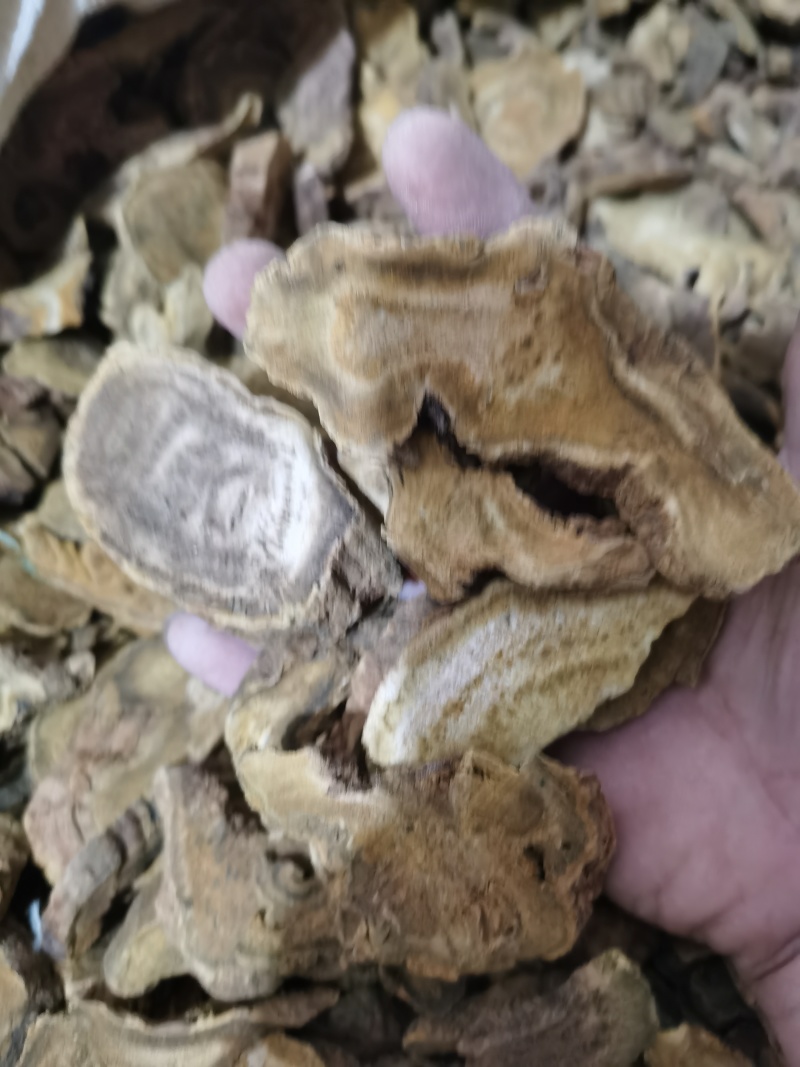 泽润中药大黄正品马蹄大黄批发零售各种中药材