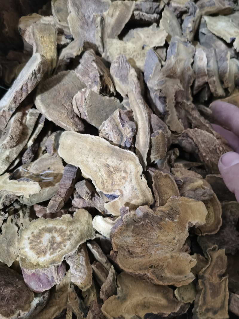 泽润中药大黄正品马蹄大黄批发零售各种中药材