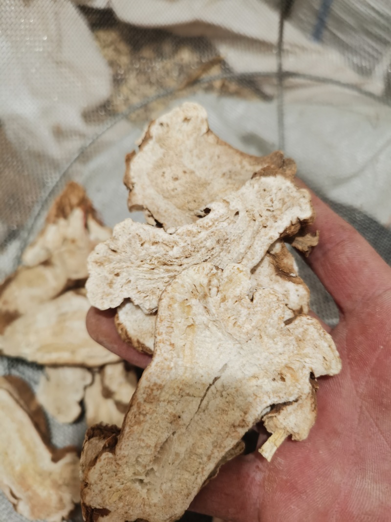 泽润中药白术无硫原装大统过8个筛子产地资源