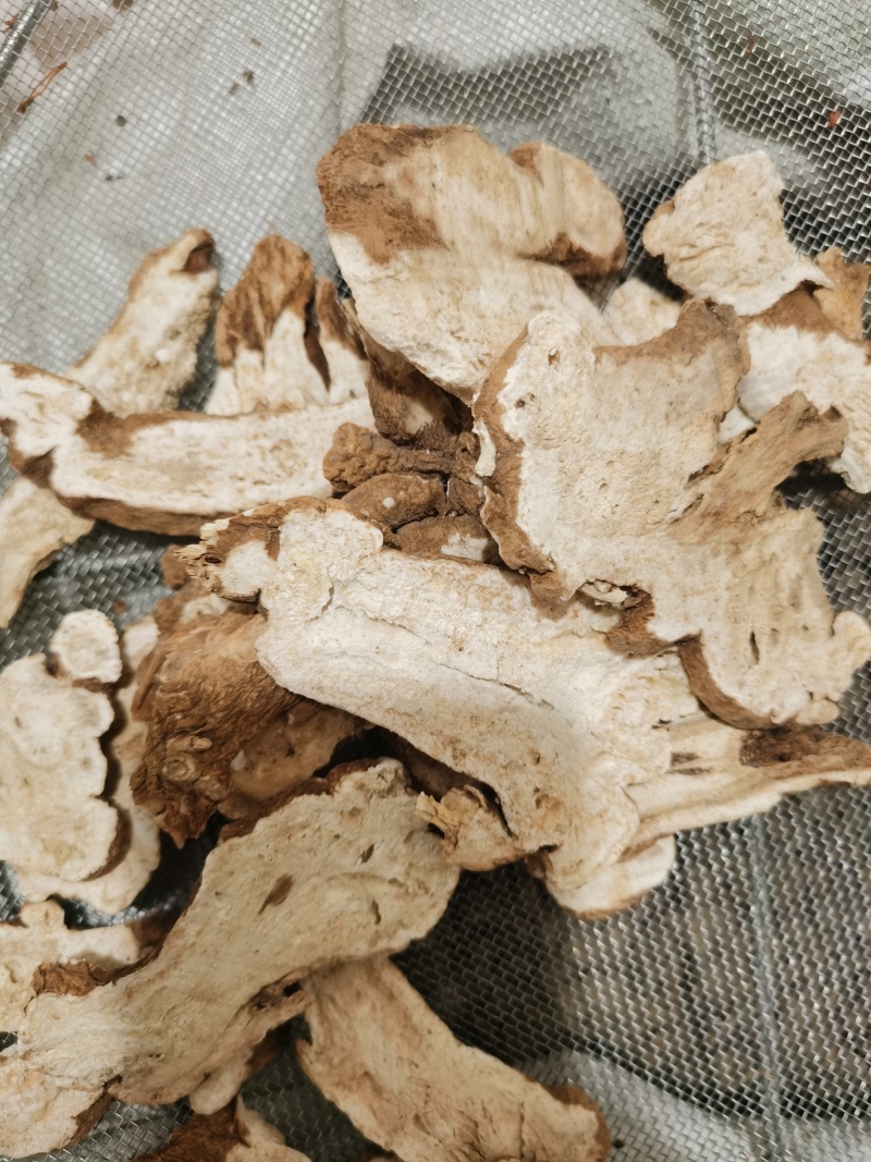 泽润中药白术无硫原装大统过8个筛子产地资源