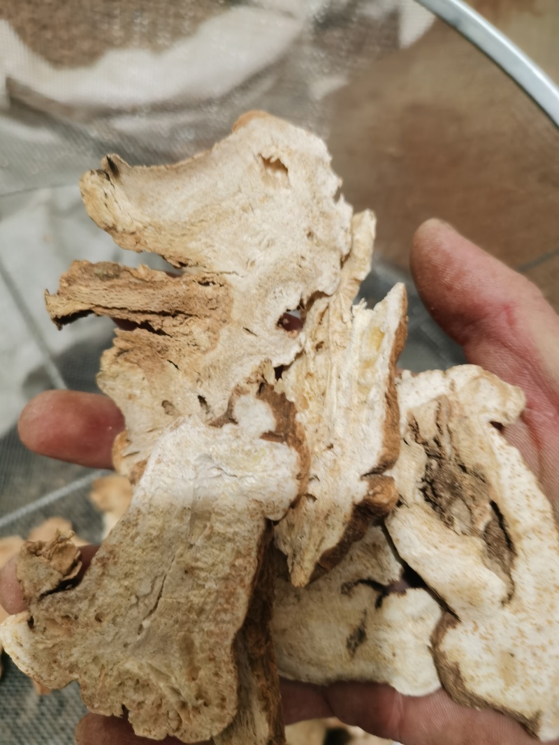 泽润中药白术无硫原装大统过8个筛子产地资源