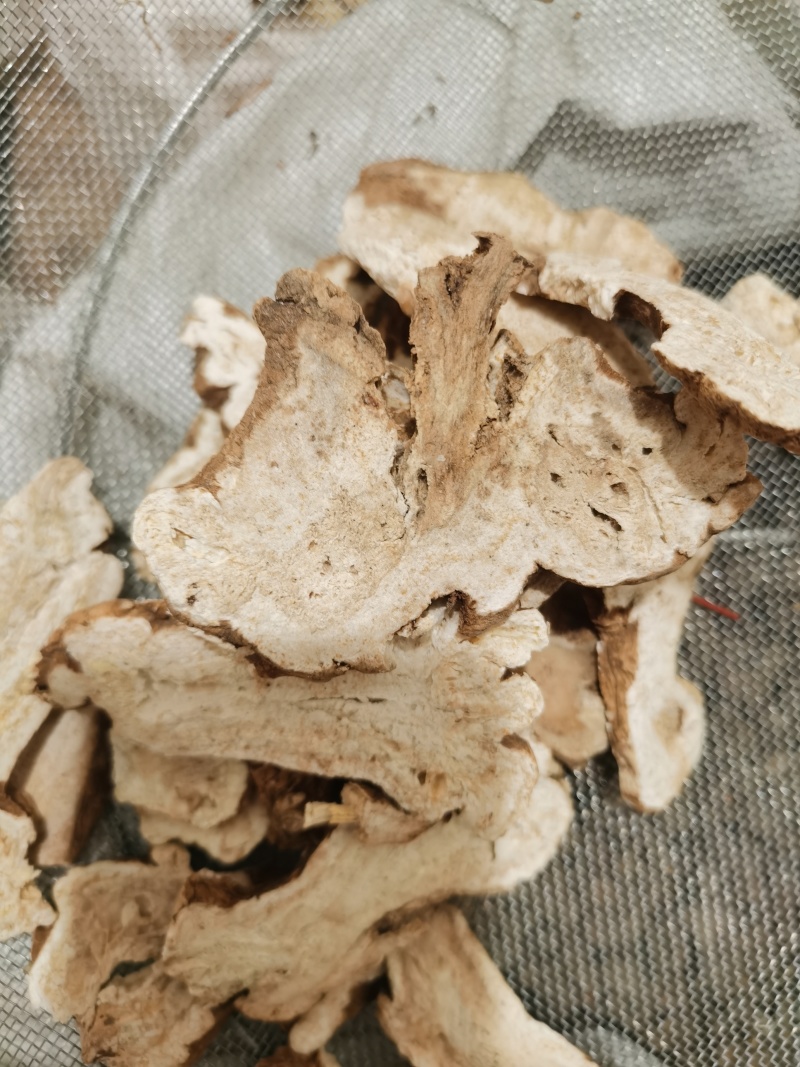 泽润中药白术无硫原装大统过8个筛子产地资源