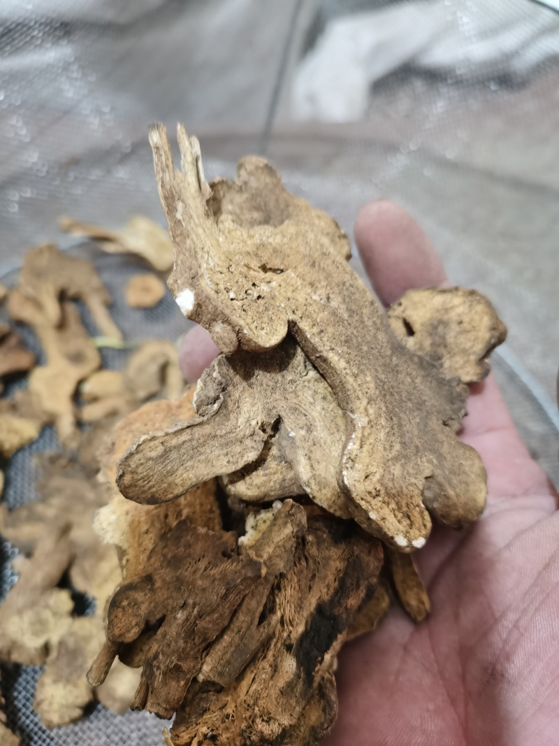 泽润中药批发供应白术肤炒白术原装大统