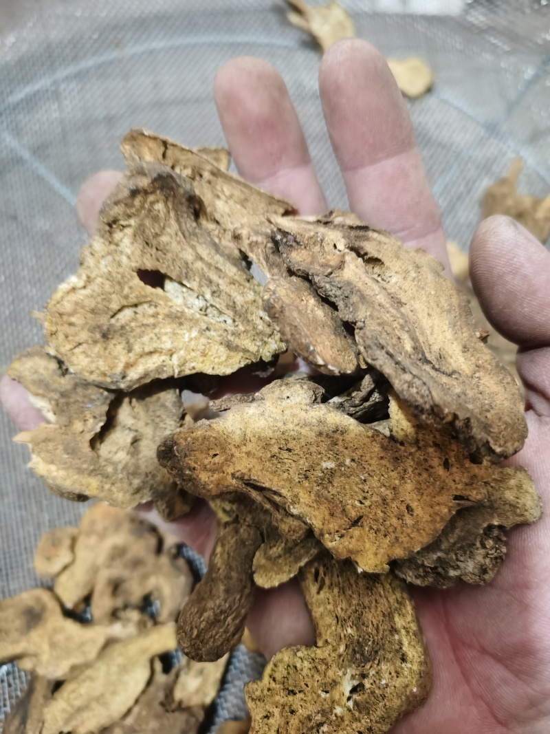 泽润中药批发供应白术肤炒白术原装大统