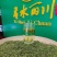 贡芽，绿茶古丈毛尖2025年新茶量大从优欢迎采购热