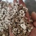 泽润中药批发供应牡丹皮无硫抽芯%80