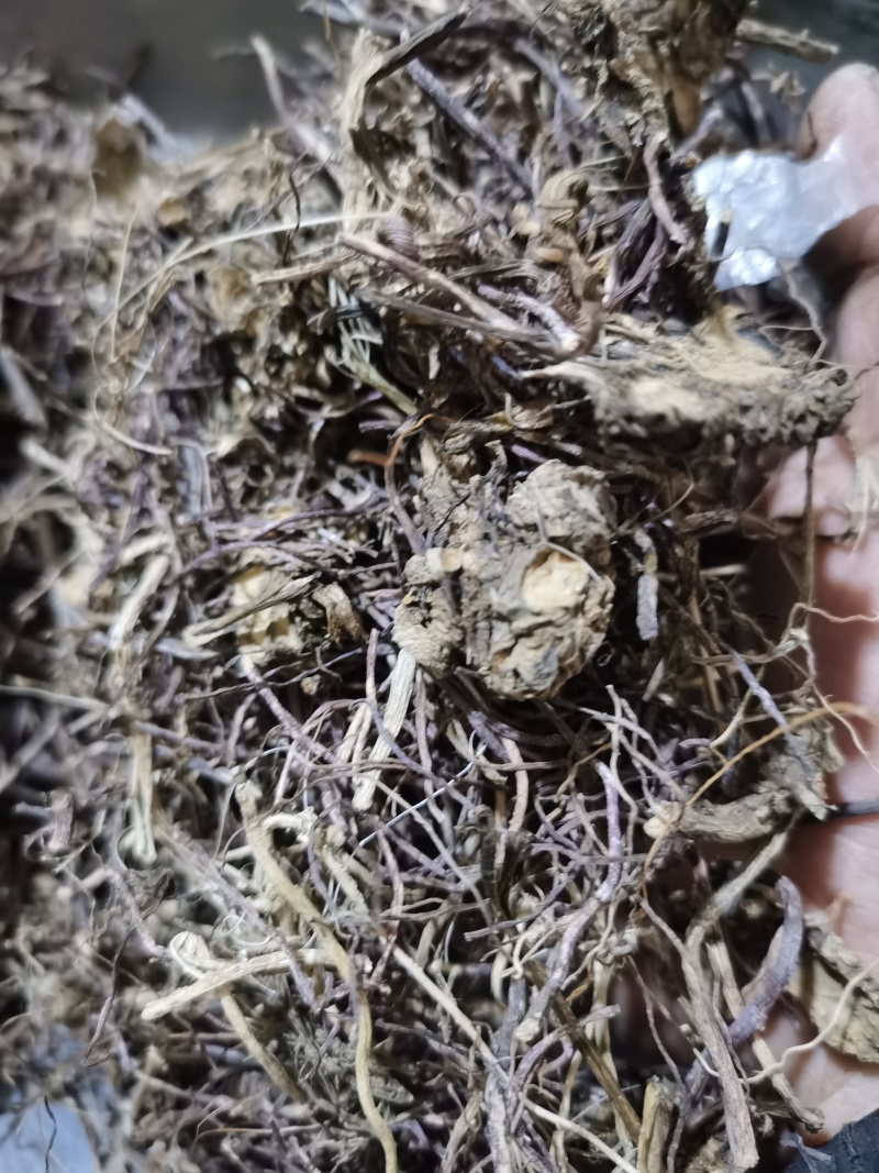 紫苑泽润中药批发供应紫苑水洗统货无杂质