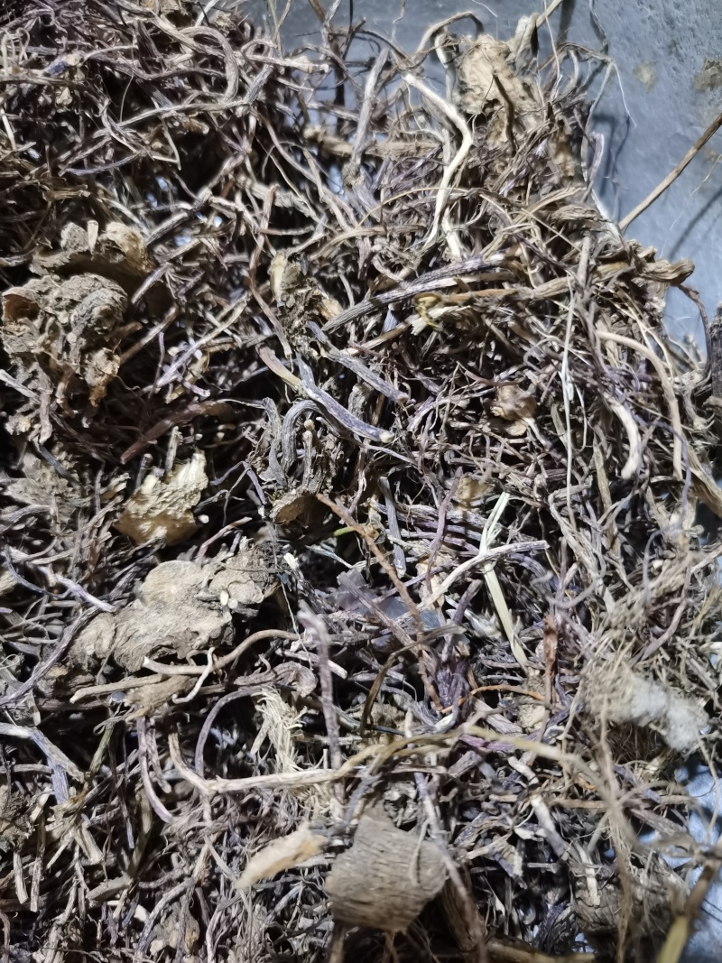 紫苑泽润中药批发供应紫苑水洗统货无杂质
