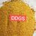 烘干玉米蛋白DDGS，蛋白26-28，脂肪4-8支持检测