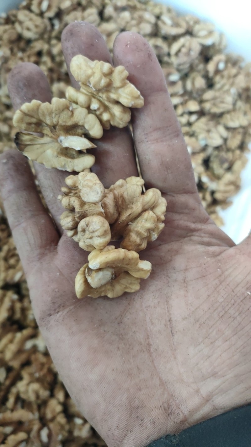 新疆新丰核桃仁，核桃果，健康食品，可视频看货产地直发的