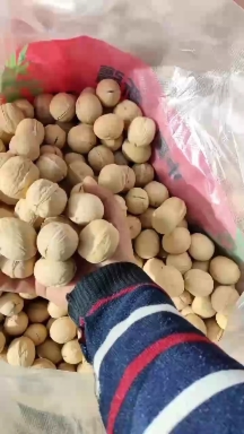 新疆新丰核桃仁，核桃果，健康食品，可视频看货产地直发的
