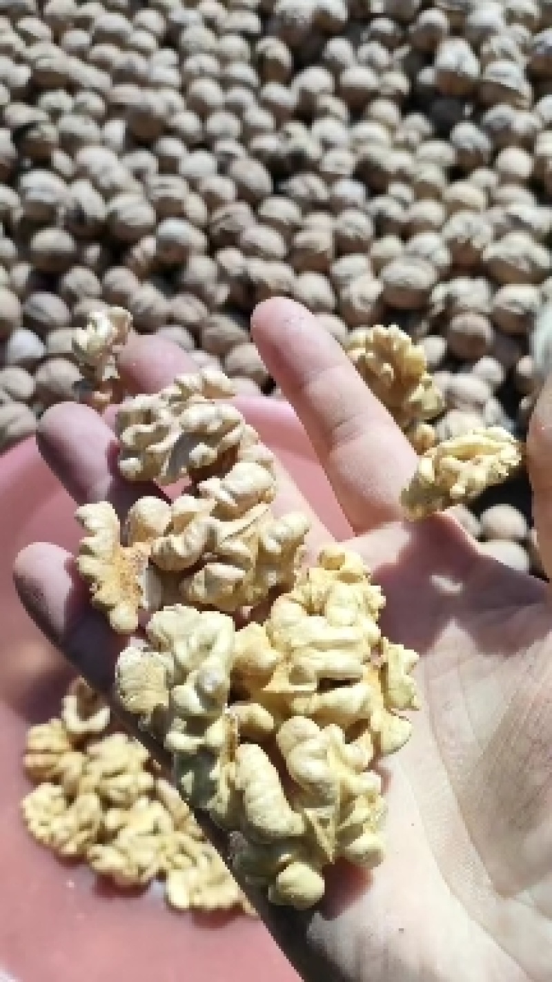 新疆新丰核桃仁，核桃果，健康食品，可视频看货产地直发的