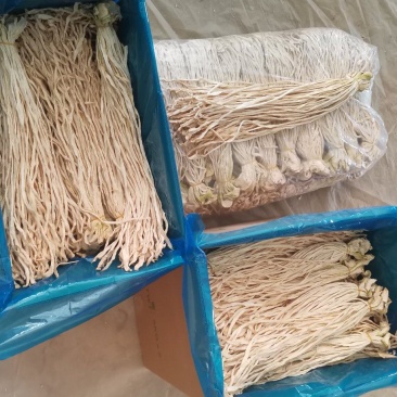 精品萝卜条