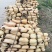 头年精品六号颜色好心子白2345的条子