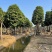 萍婆基地直销规格齐全欢迎老板前来咨询合作
