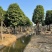 萍婆基地直销规格齐全欢迎老板前来咨询合作