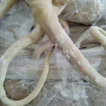 牛尾，带皮牛尾，去皮牛尾！不带尾骨，卤炖佳品！规格全
