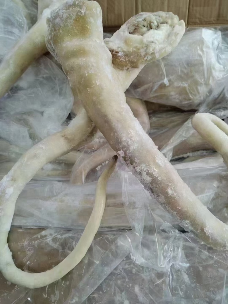 牛尾，带皮牛尾，去皮牛尾！不带尾骨，卤炖佳品！规格全