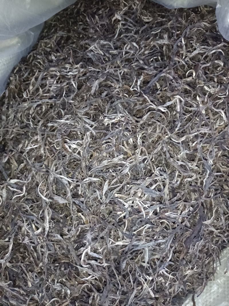 茶