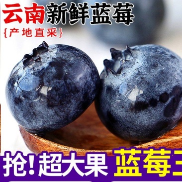 蓝莓一件代发电商蓝莓一件代发支持直播带货