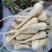 云南新鲜菜当归（现挖现发货，30斤起批）