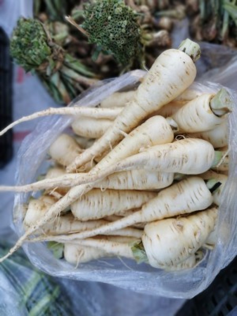 云南新鲜菜当归（现挖现发货，30斤起批）